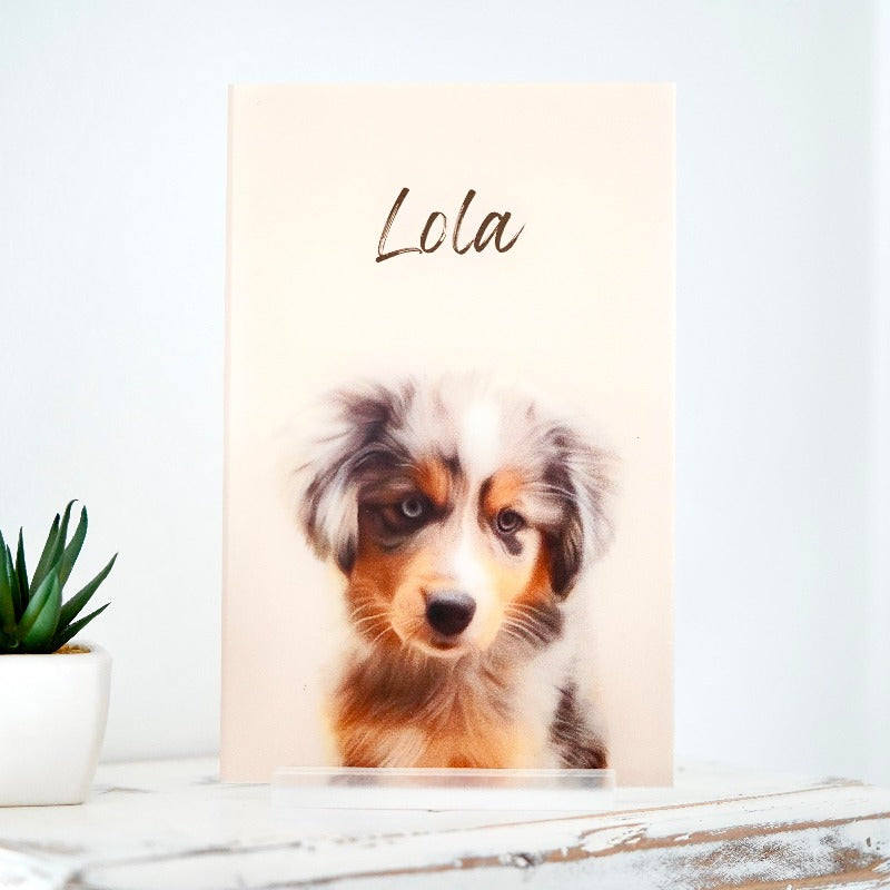 Retrato de mascota personalizado 🐾 dibujo de perros o gatos ilustraciones de mascotas impresas con envío rápido, perfecto para regalo