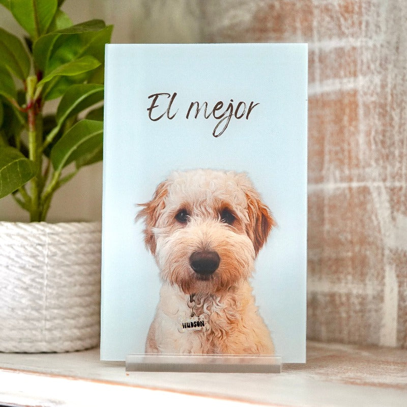 Retrato de mascota personalizado 🐾 dibujo de perros o gatos ilustraciones de mascotas impresas con envío rápido, perfecto para regalo