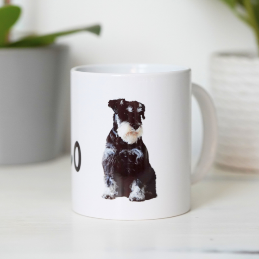 Disfrute de este detalle personalizado con la foto de tu mascota, que es ahora parte importante en tu vida.
