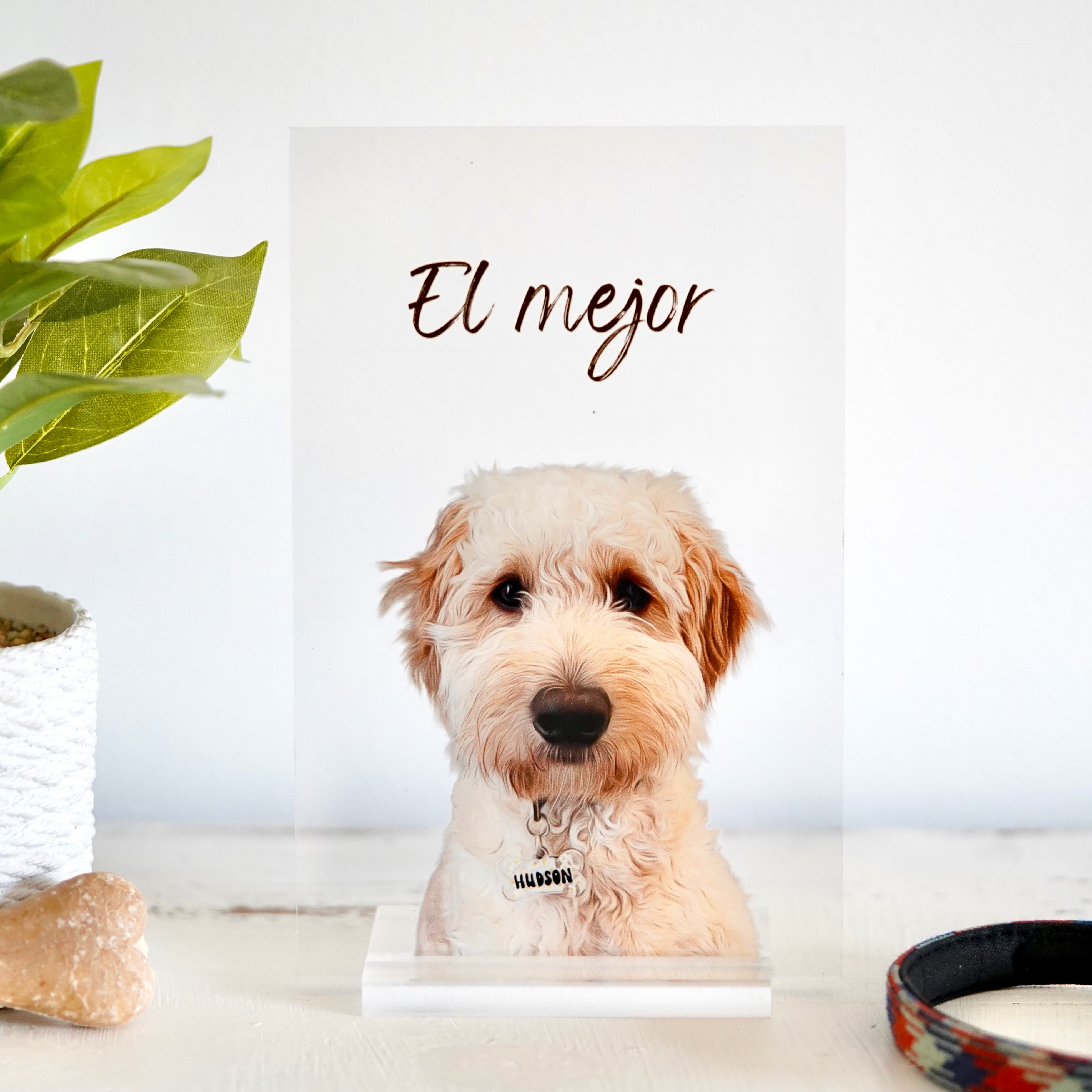 Retrato de mascota personalizado 🐾 dibujo de perros o gatos ilustraciones de mascotas impresas con envío rápido, perfecto para regalo