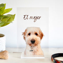 Carregar imagem no visualizador da galeria, Retrato de mascota personalizado 🐾 dibujo de perros o gatos ilustraciones de mascotas impresas con envío rápido, perfecto para regalo
