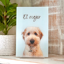 Carregar imagem no visualizador da galeria, Retrato de mascota personalizado 🐾 dibujo de perros o gatos ilustraciones de mascotas impresas con envío rápido, perfecto para regalo

