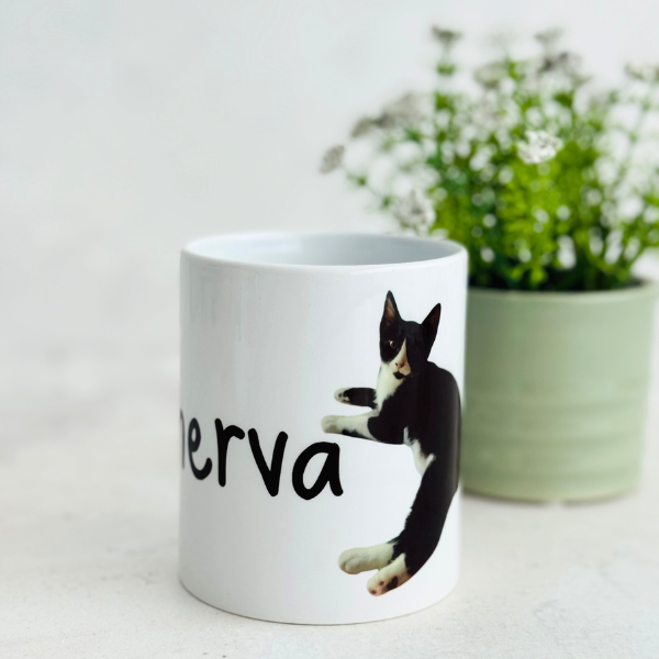 taza mascota