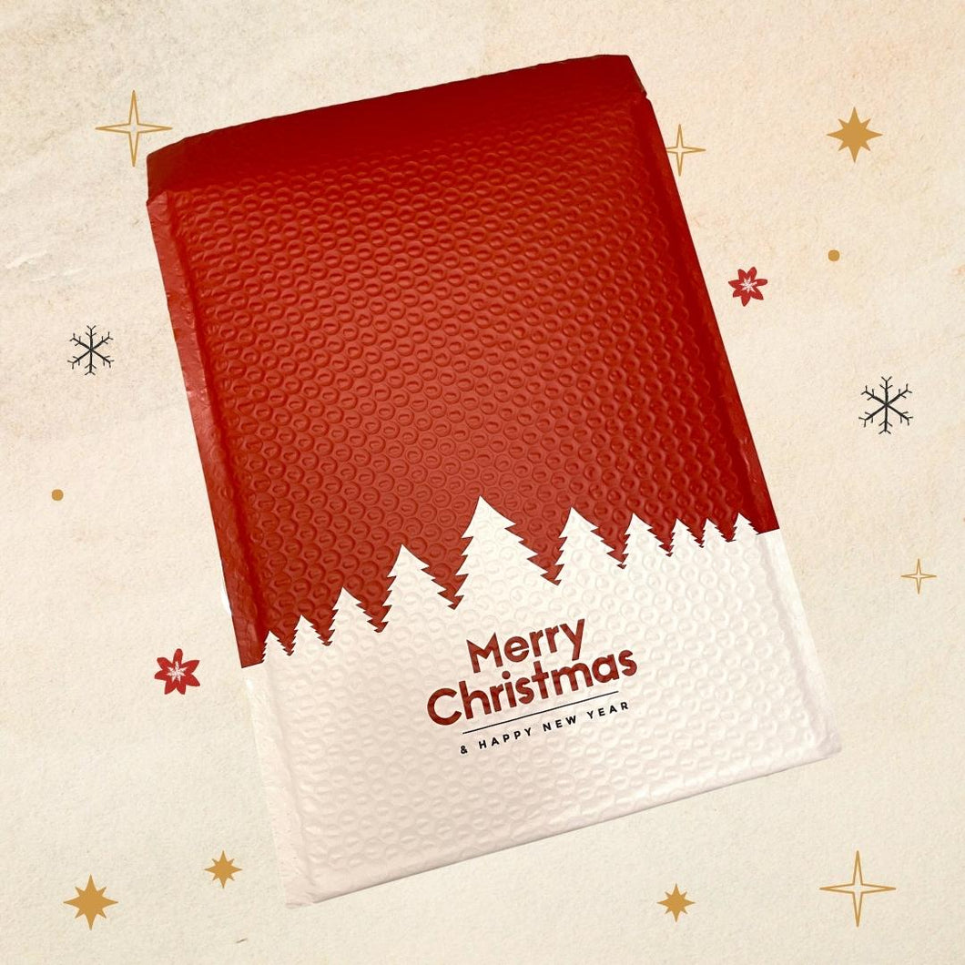 Envelope especial de Natal 🎄💌 Pronto para entregar de presente
